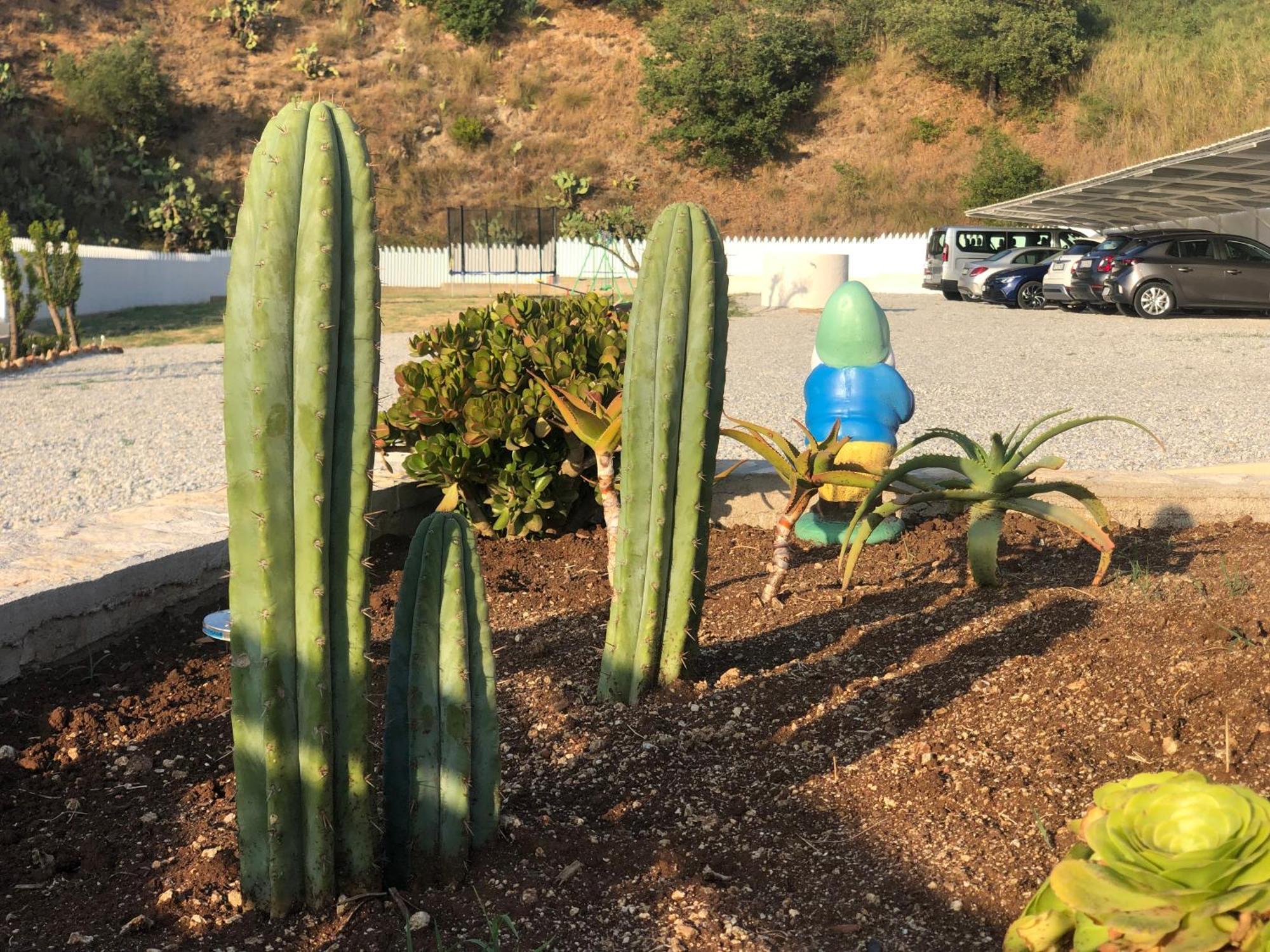 Ciaramiti Bloom Tropea 아파트 호텔 외부 사진